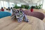 Gewerbeobjekt Neuss Gnadental - 1.200&euro; | Angebot:26344349