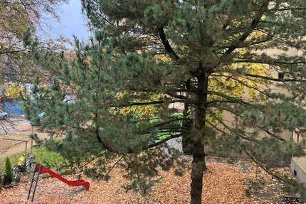 Wohnung zum Mieten in Gelsenkirchen 349 € 59 m² 3 zimmer