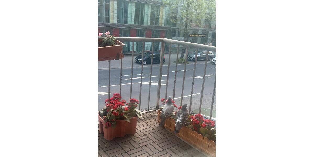 Etagenwohnung Düsseldorf Pempelfort - 2 Zimmer, 75 m&sup2;, 1.496&euro; | Angebot:26604507