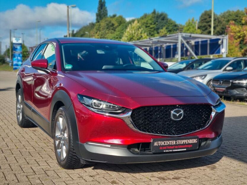 CX-30