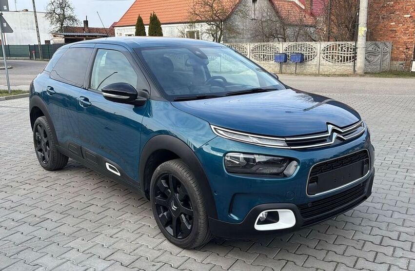C4 Cactus