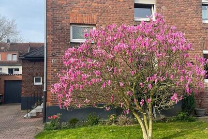 Schönes Einfamilienhaus am Toeppersee -Provisionsfrei- 5 zimmer