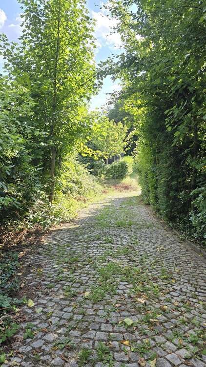 Grundstück zu verkaufen in Bochum 795.000 € 3482 m²