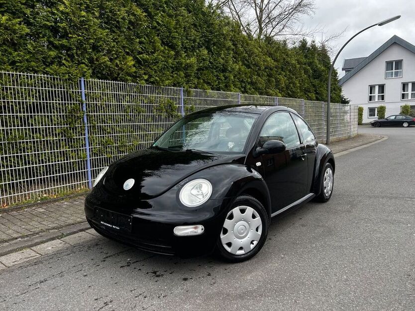 Beetle