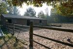 Einfamilienhaus mit Stallungen