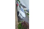 Opel Insignia Sports Tourer 206.000 km 6.000 &euro; Velbert 42551
