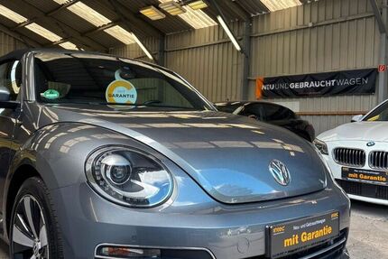 VW Beetle