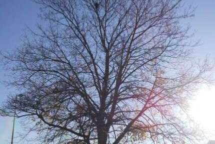 Wohnung zum Mieten in Wuppertal 510 € 71 m² 3 zimmer