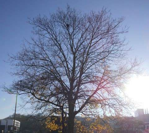 Wohnung zum Mieten in Wuppertal 510 € 71 m² 3 zimmer