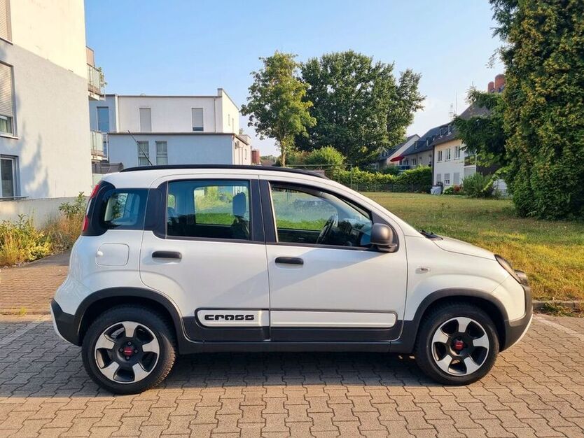 Panda