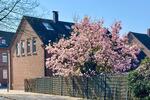 Doppelhaushälfte Gelsenkirchen Erle - 5 Zimmer, 140 m&sup2;, 329.000&euro; | Angebot:26122090