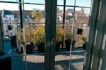 Maisonettenwohnung Düsseldorf Stadtbezirk 3 - 4 Zimmer, 120 m&sup2;, 719.000&euro; | Angebot:26119833