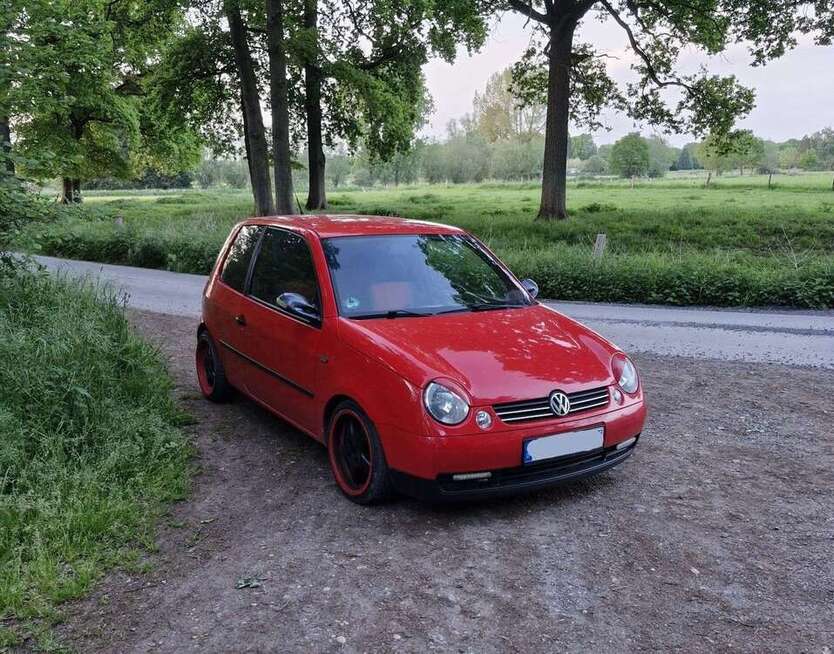 Lupo