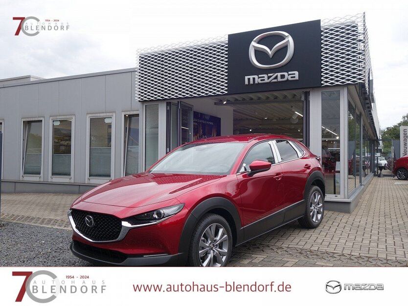 CX-30