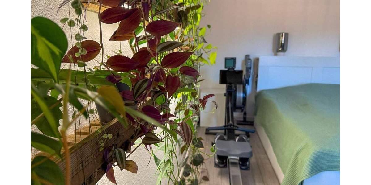 Mehrfamilienhaus, Wohnhaus Meerbusch Lank-Latum - 2 Zimmer, 345 m&sup2;, 1.899.000&euro; | Angebot:25666087