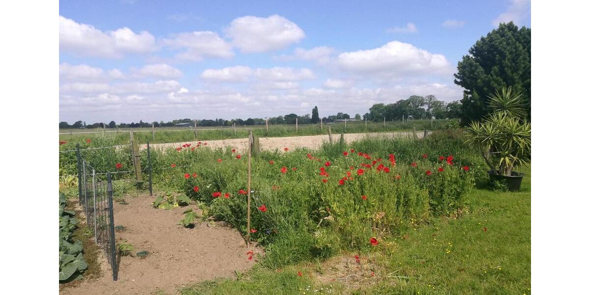 Einfamilienhaus Kempen - 3 Zimmer, 110 m&sup2;, 1.150&euro; | Angebot:25396668