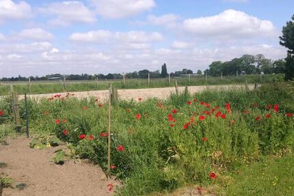 Haus Kempen - 3 Zimmer, 110 m&sup2;, 1.200&euro; | Angebot:25396668