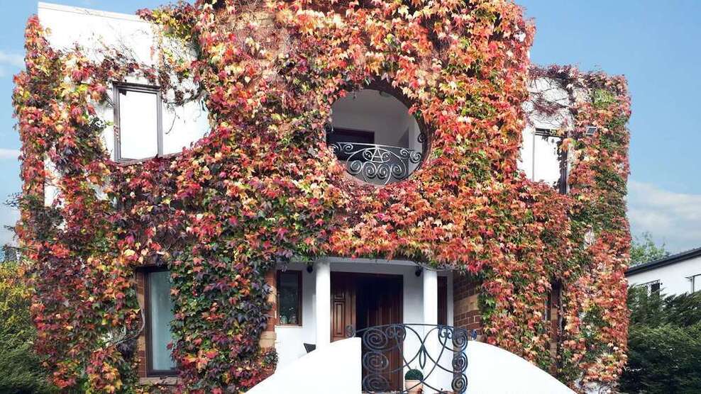 Haus zum Kaufen in Ratingen 1.350.000 € 238 m²