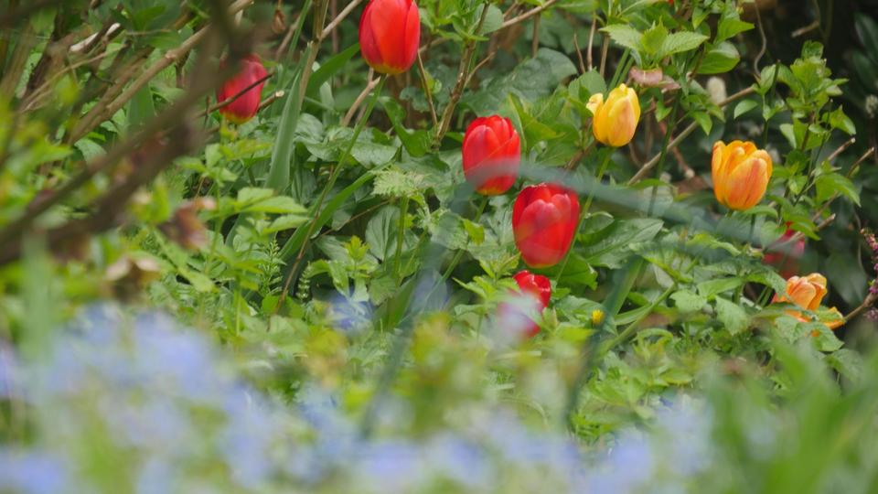 Einfamilienhaus Ratingen Homberg - 6.5 Zimmer, 145 m&sup2;, 2.025&euro; | Angebot:26162644