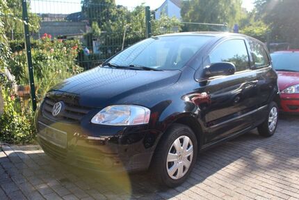 VW Fox