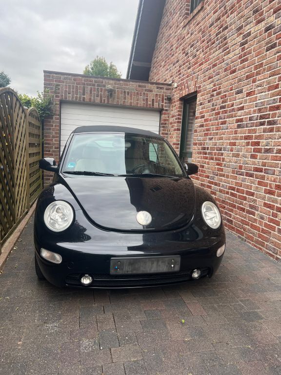 Beetle