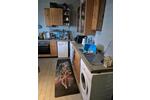 Etagenwohnung Dinslaken Hiesfeld - 2.5 Zimmer, 65 m&sup2;, 552&euro; | Angebot:26355289
