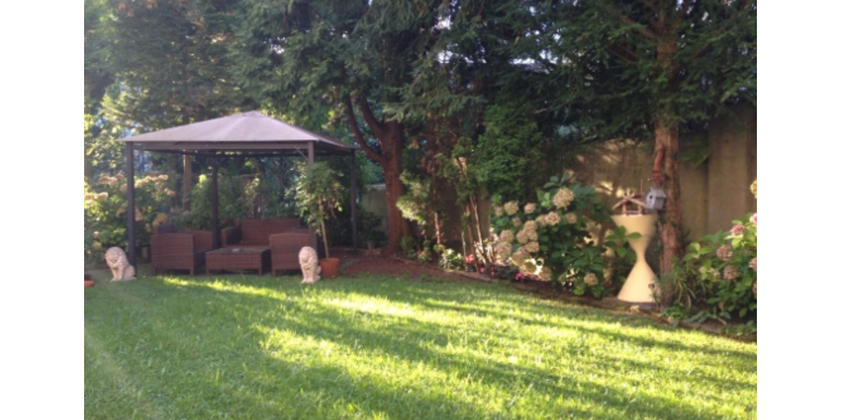 Erdgeschoßwohnung Essen Stadtbezirk II - 2 Zimmer, 62 m&sup2;, 618&euro; | Angebot:24663611