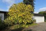 Bungalow Kempen - 3 Zimmer, 125 m&sup2;, 525.000&euro; | Angebot:26205407