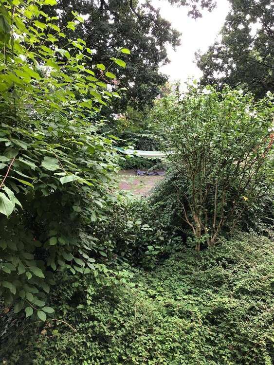 Wohnung zum Mieten in Viersen-Dülken 600 € 60 m²