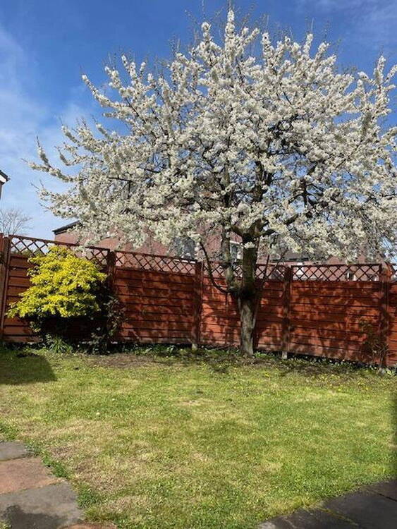 Einfamilienhaus prov.frei, wunderschöne Siedlung 5 zimmer
