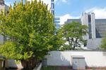 Etagenwohnung Düsseldorf Stadtbezirk 3 - 1 Zimmer, 48 m&sup2;, 190.000&euro; | Angebot:26705264