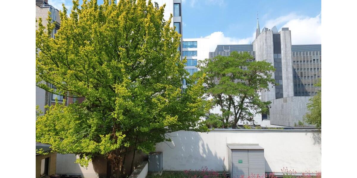 Etagenwohnung Düsseldorf Stadtbezirk 3 - 1 Zimmer, 48 m&sup2;, 199.000&euro; | Angebot:26705264
