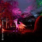 Drachenlichter 2026 - Die Nacht der Drachen für die ganze Familie