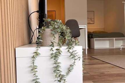 Zimmer Ratingen Süd - 1 Zimmer, 790&euro; | Angebot:24566359